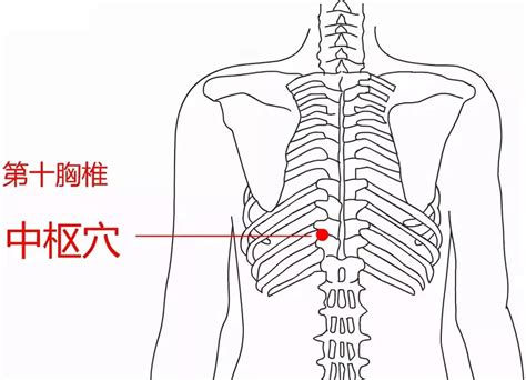 中柱穴